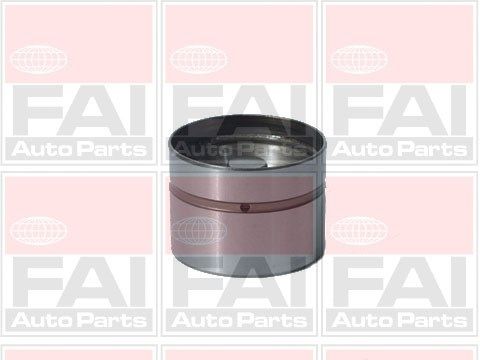 FAI AUTOPARTS Bīdītājs BFS105